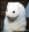 Fredde