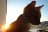 lunan
