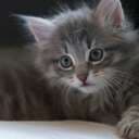 My.R