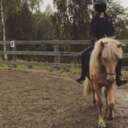 Opalen